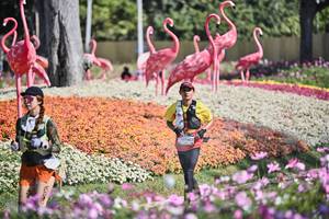 BIB: 
                            <button type="button" onclick="openModal(27793087)" class="btn btn-primary btn-sm float-right btn-popup" data-toggle="modal" data-target=".modal-high-quality">
                        <i class="fas fa-shopping-cart"></i> Add to Cart
                    </button>
                                            <button type="button" onclick="isThisMe(27793087, true)" class="btn btn-success btn-sm float-right btn-popup btn-isme hidden" data-toggle="tooltip" data-placement="bottom" title="นี่คือรูปของคุณใช่ไหม คลิกที่นี่เพื่อเอาเข้าอัลบั้ม">
                        <i class="fas fa-plus"></i> Add to album
                    </button>
                    <button type="button" onclick="isThisMe(27793087, false)" class="btn btn-warning btn-sm float-right btn-popup btn-isnotme hidden">
                        <i class="fas fa-ban"></i> Remove from album
                    </button>